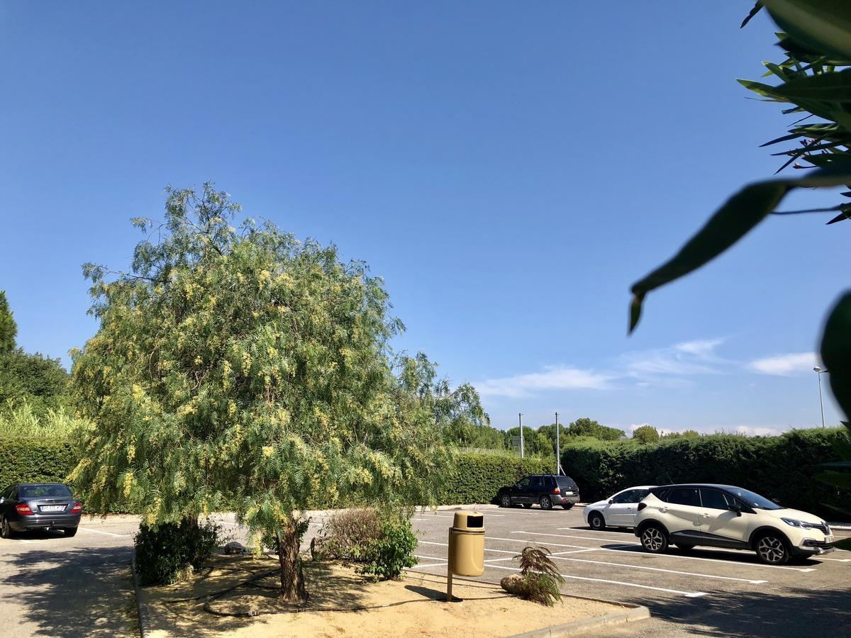 南佩尼皮昂普瑞米尔经典酒店 佩皮尼昂 外观 照片